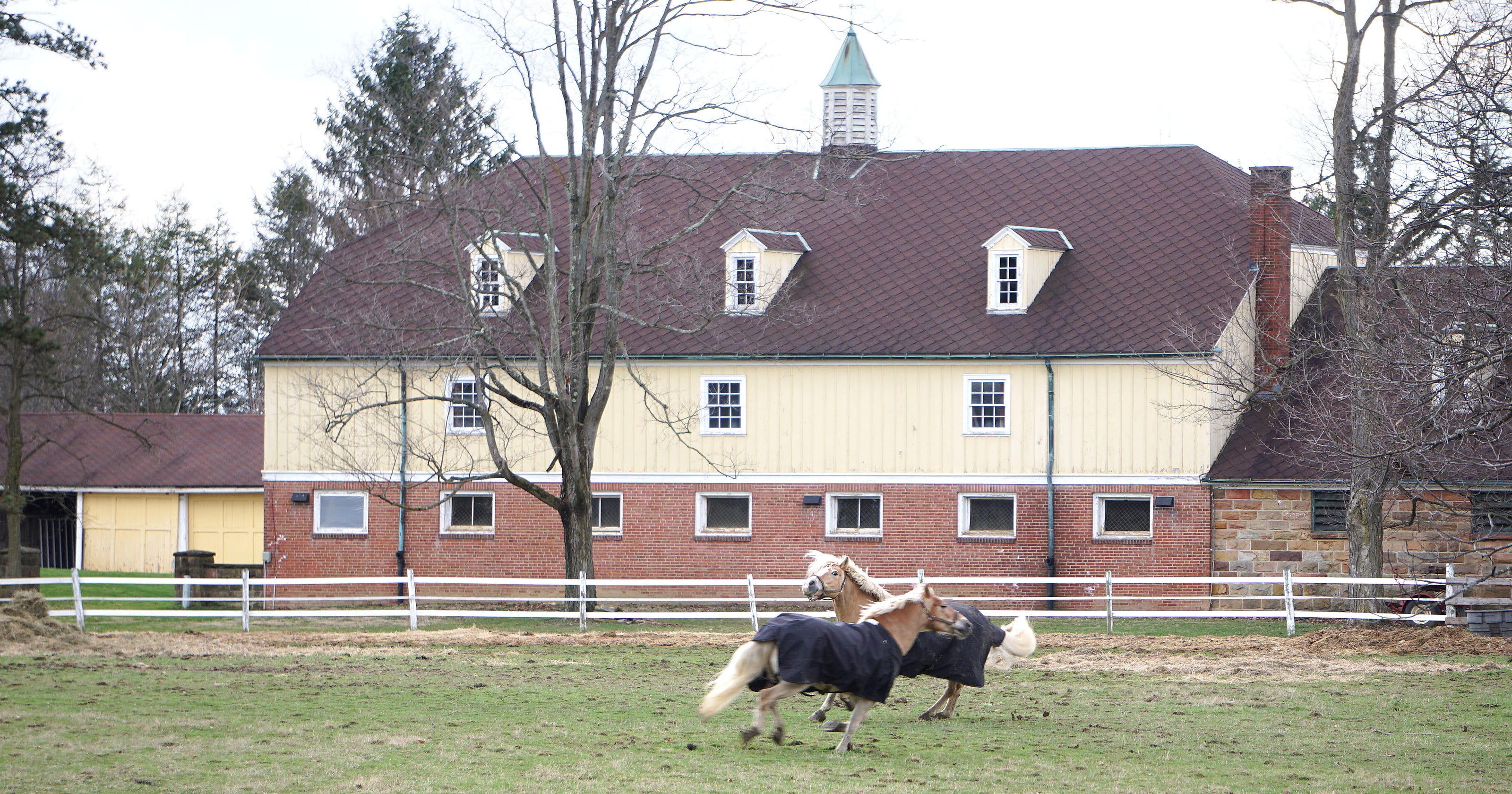 Raemelton equestrian center planning restoration efforts