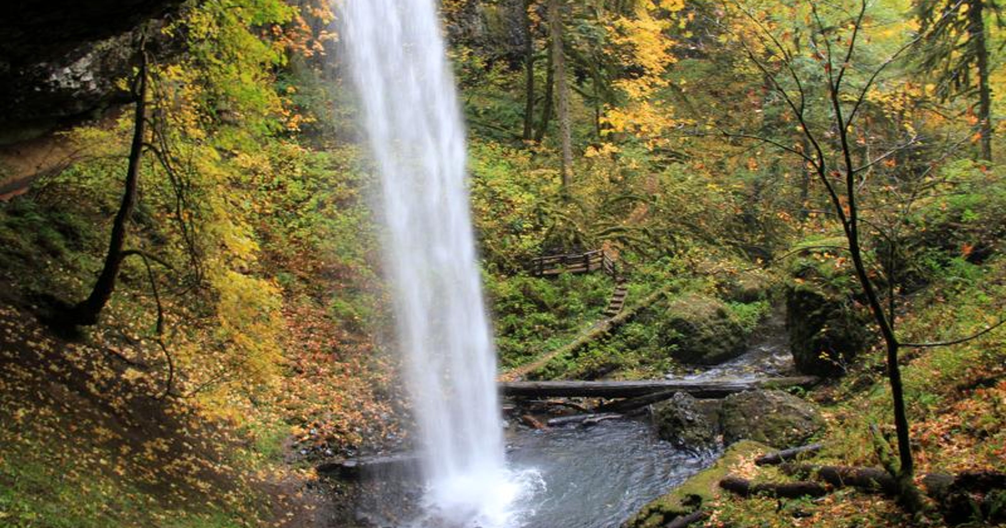 The 5 best kidfriendly waterfall hikes near Salem, Oregon