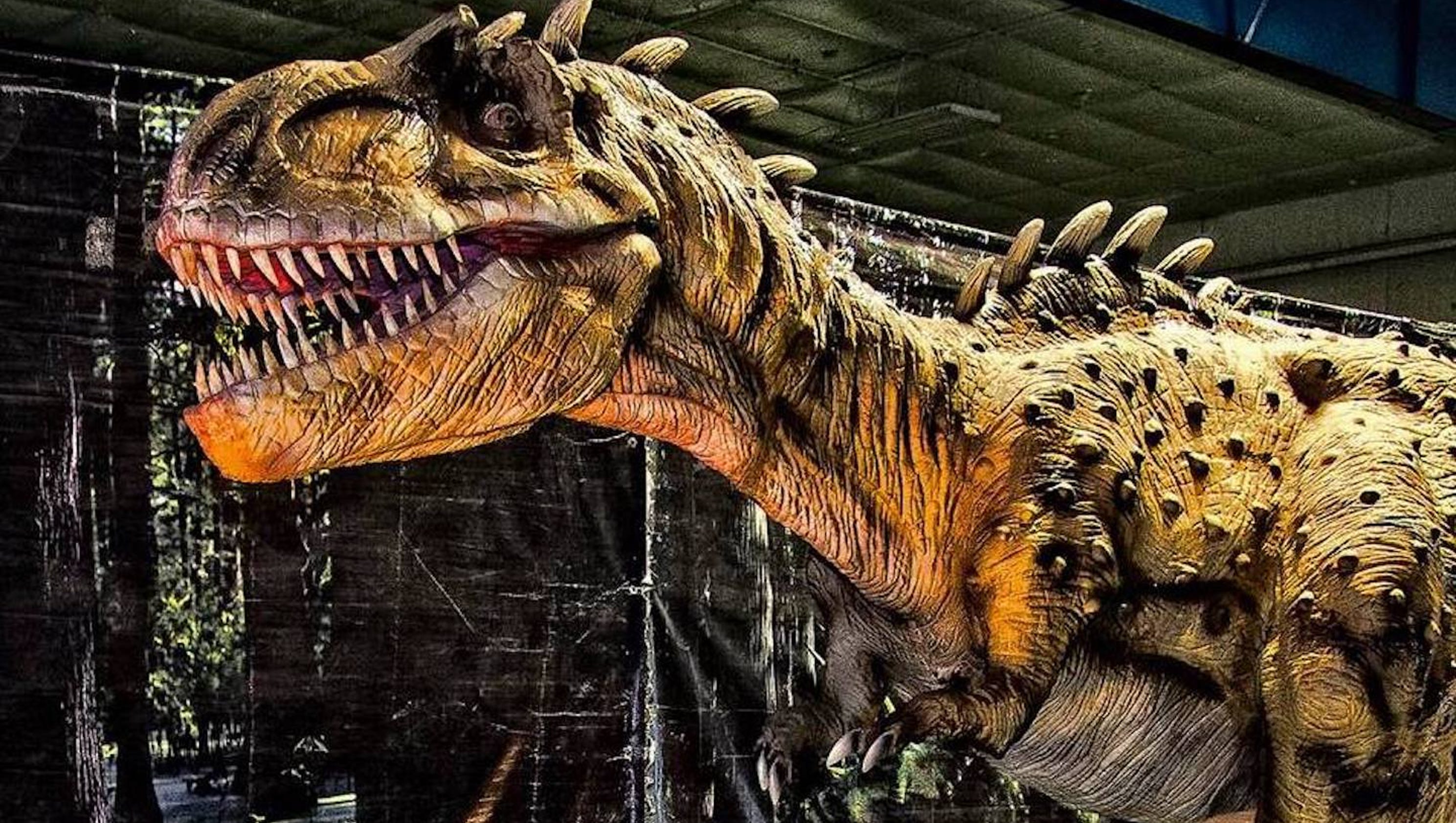 jurassic tour near me