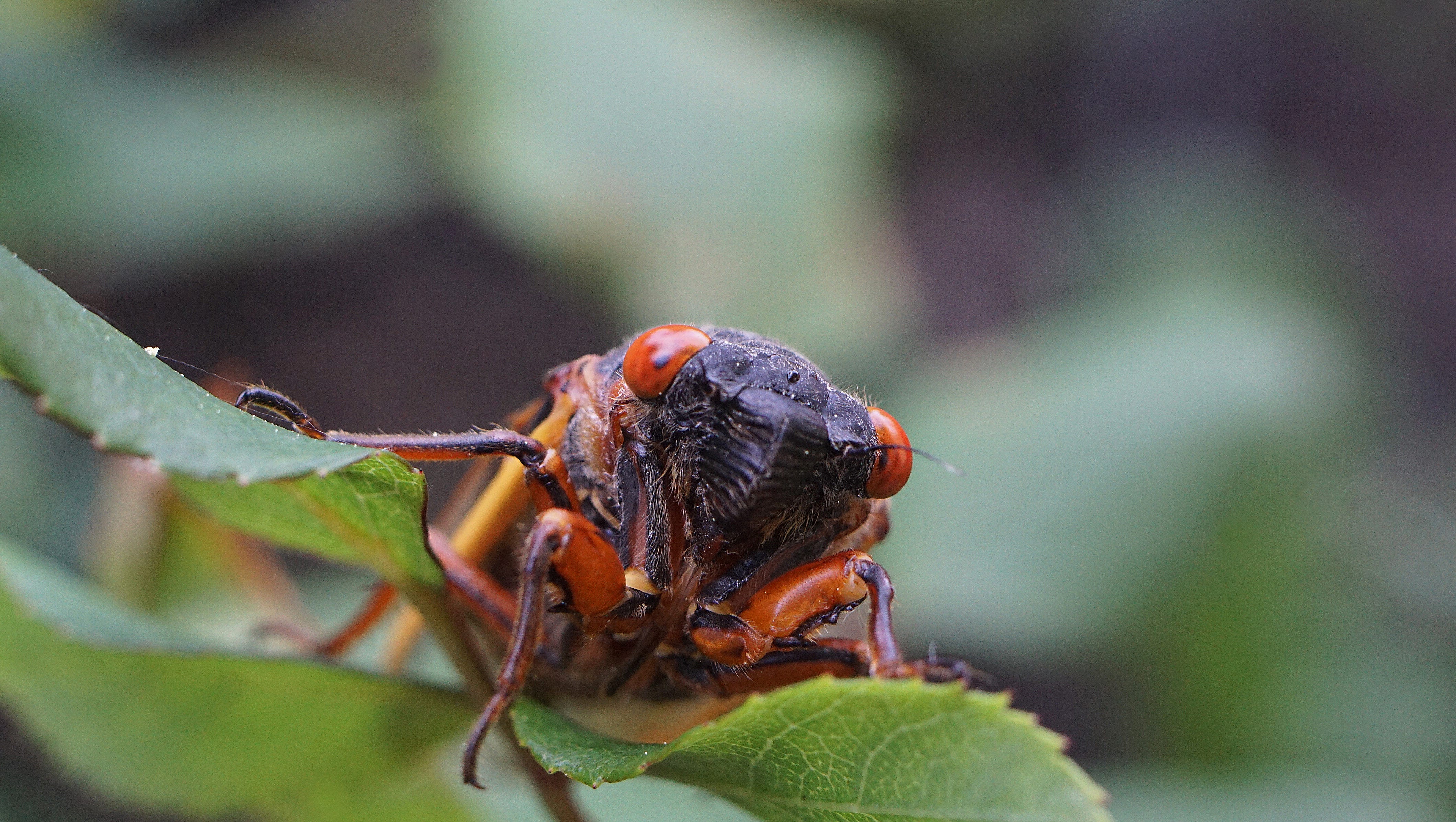 Beaches Within 5 Hours Of Columbus Ohio : Authorities identify 4-year-old pulled from Alum Creek ... : Check spelling or type a new query.