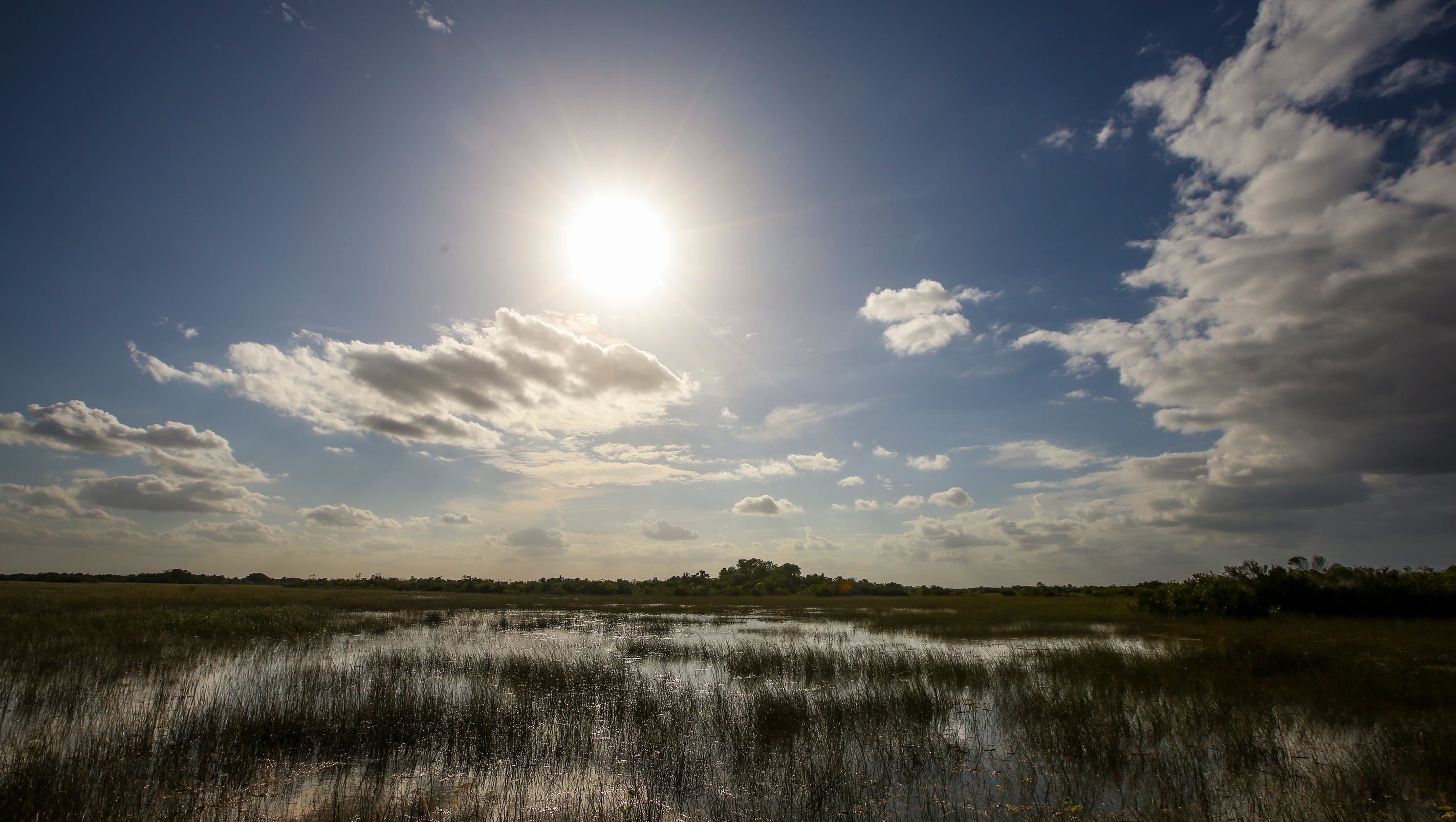 Everglades National Park whispers to visitors