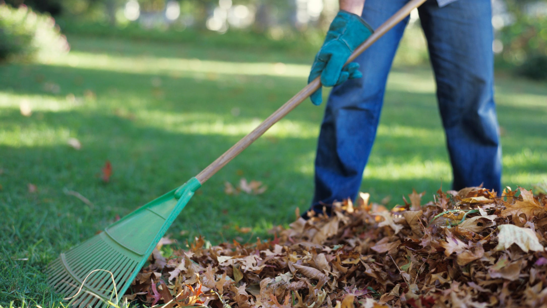 Louisville board bans plastic bags for yard waste