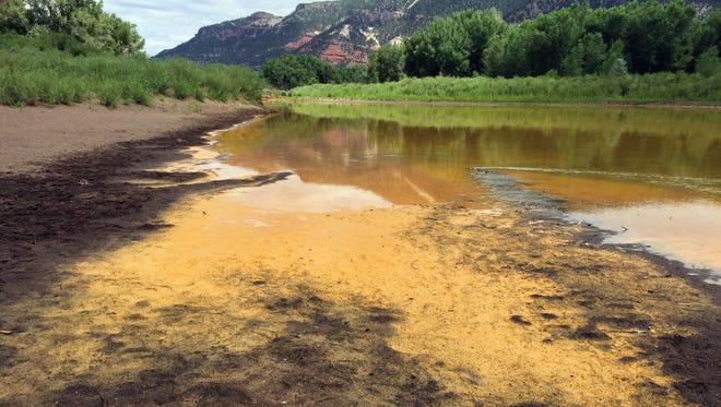 As the Animas River begins to recede, it reveals sludge left behind just north of Durango, Colo.