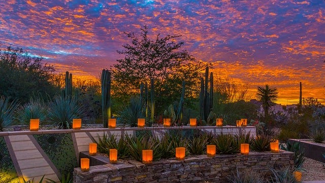 Help Season for Sharing at Desert Botanical Garden's ...