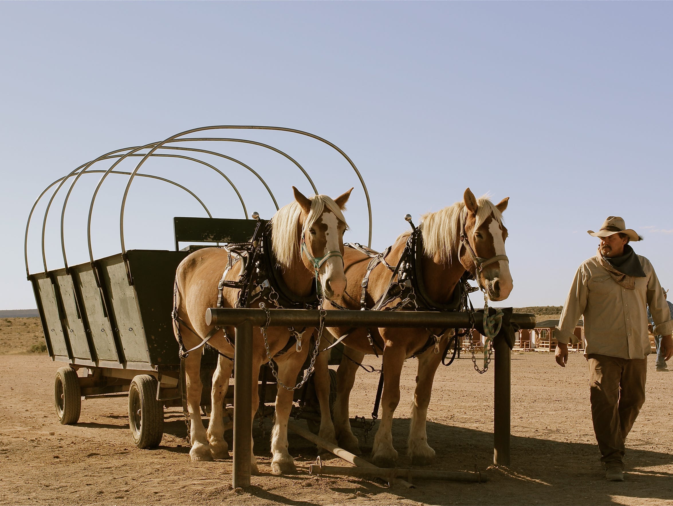 When visiting Oatman, Arizona, you’re likely to see