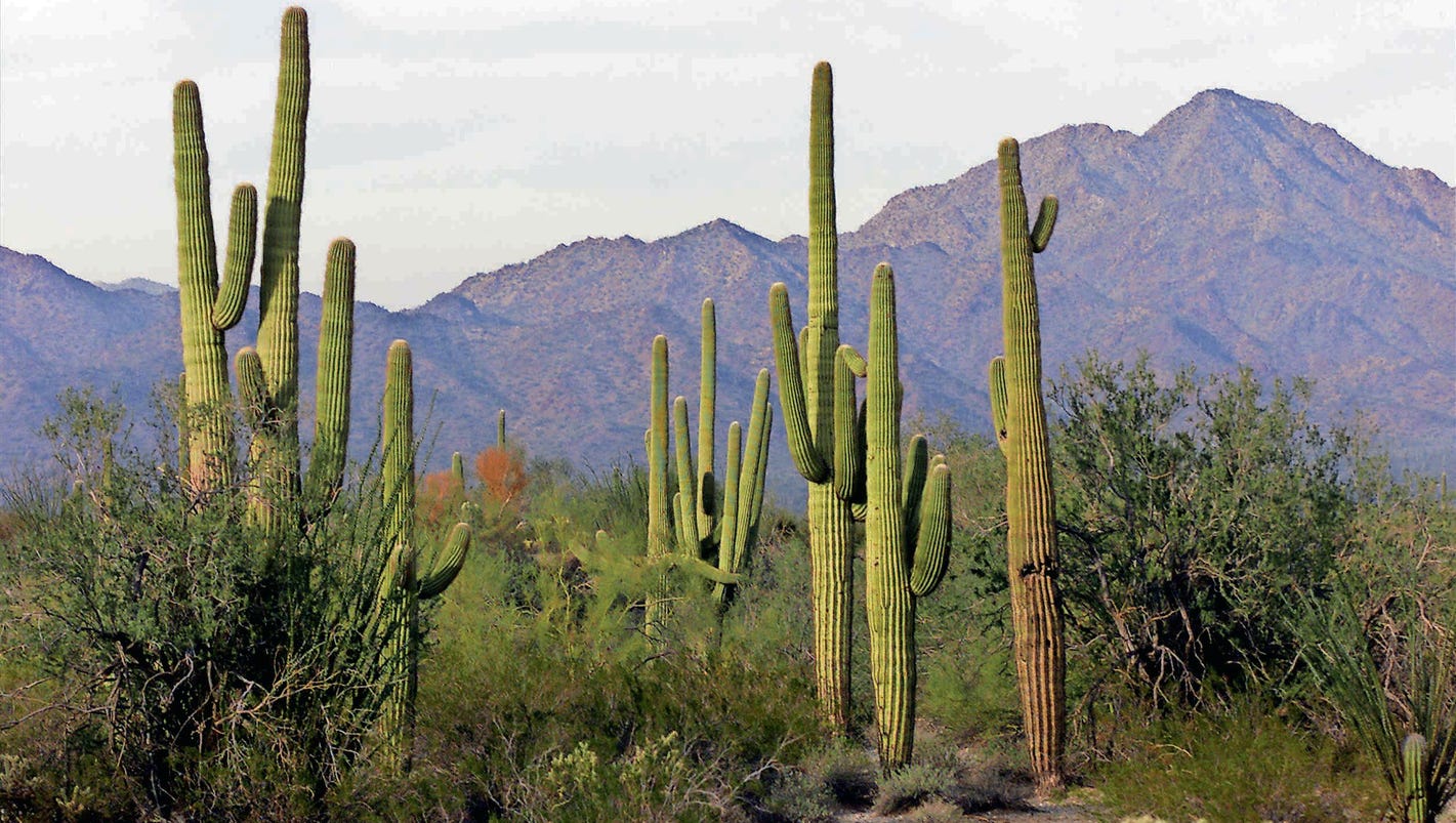 Desert View Apartments Phoenix Az Desert View Apartments Phoenix Az