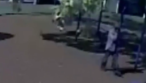 liveleak new zealand shooting live liveleak new zealand shooting live