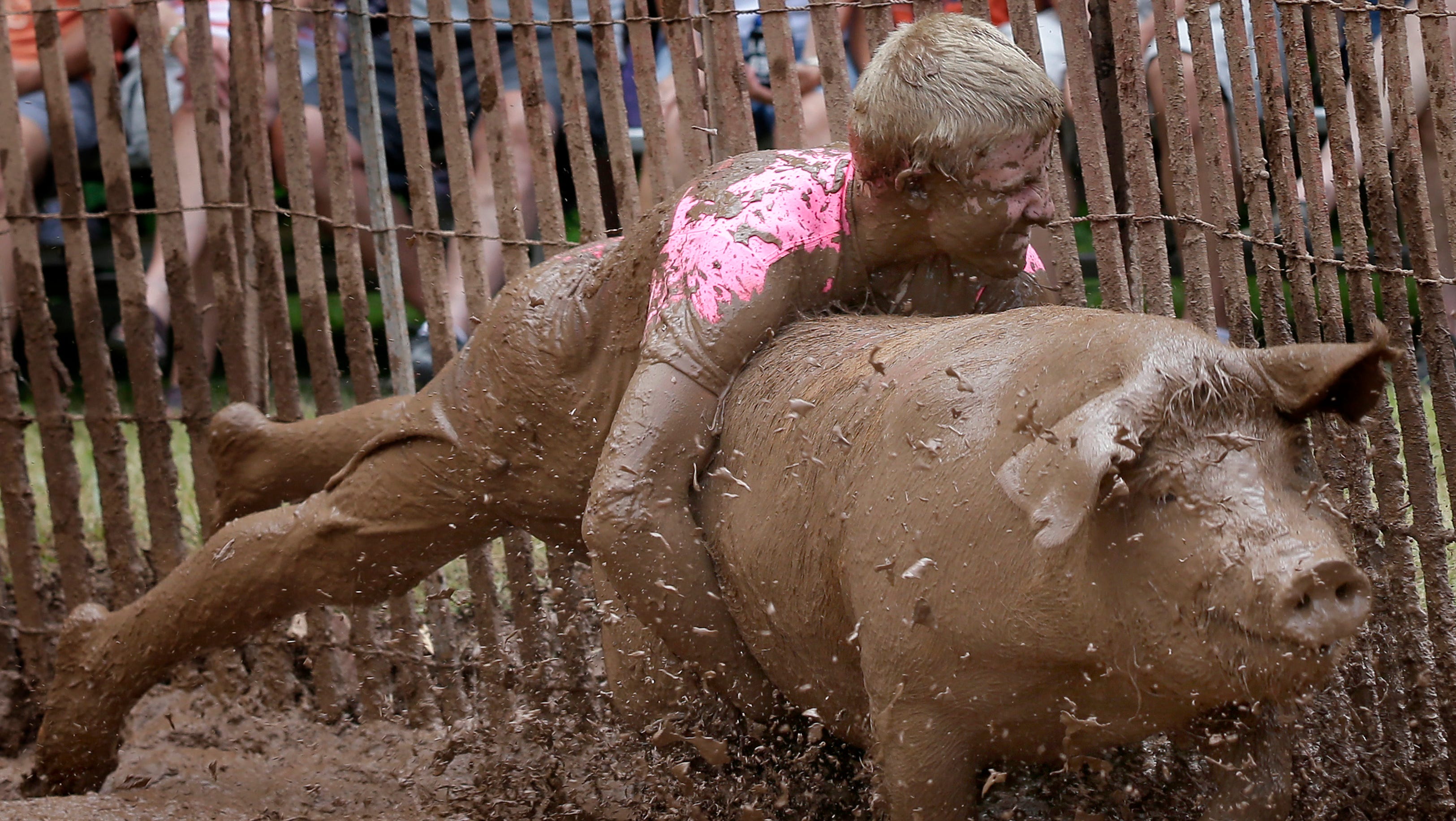 Pig Rassle generates minimal mudslinging