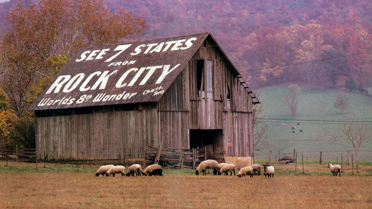 See Rock City Barns Vanishing From Landscape