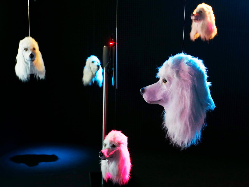 Artificial dog heads by British artist Heather Phillipson sway in a dark room of the Schirn museum in Frankfurt, Germany, onJuly 3, 2017. The installation called \
