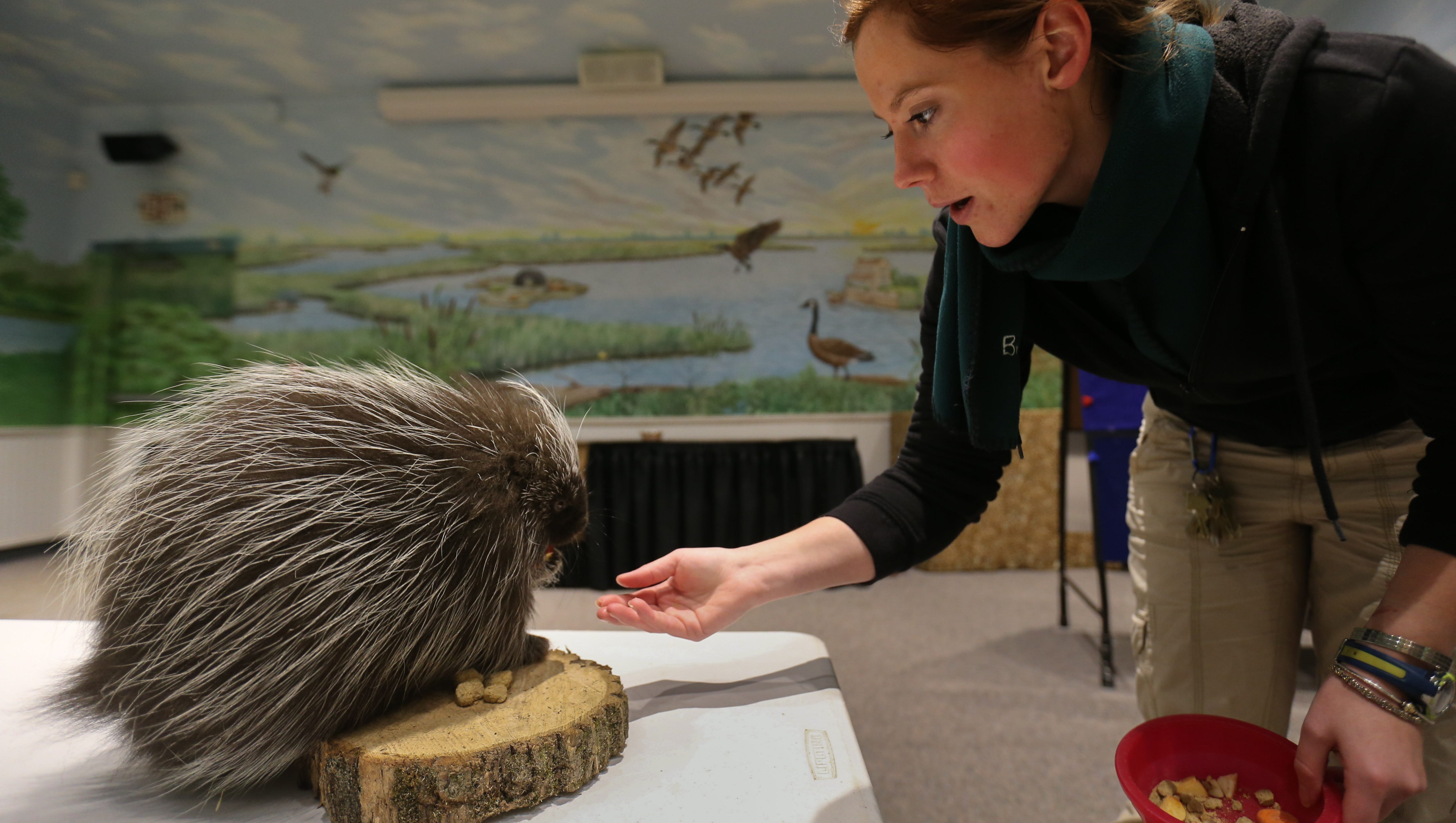 Brandywine Zoo to unveil improvements with new season