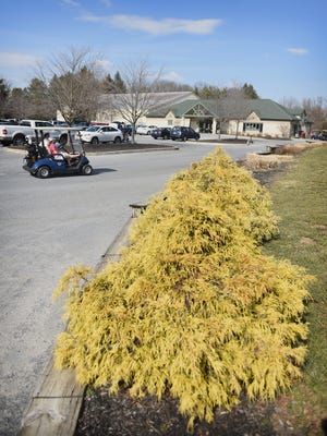 A golf cart travels down a road at Royal Oaks Golf Course this week. The North Cornwall Township Zoning Hearing Board granted a variance March 9, 2016, for Cedar Lanes bowling alley to move to the golf course.