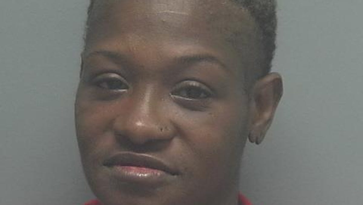 Lee County Arrests 11/1