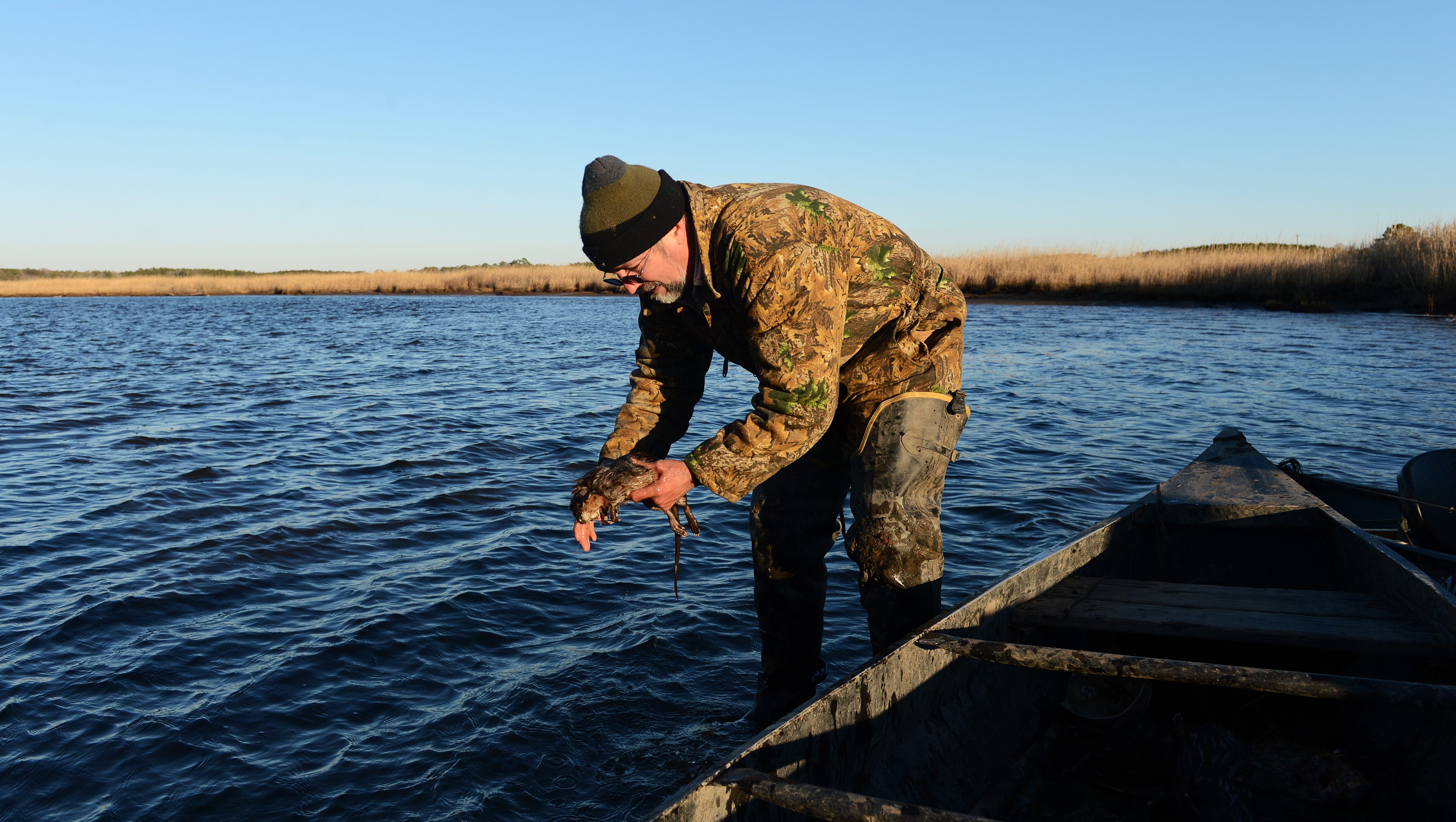 Muskrat: It doesn't taste like chicken
