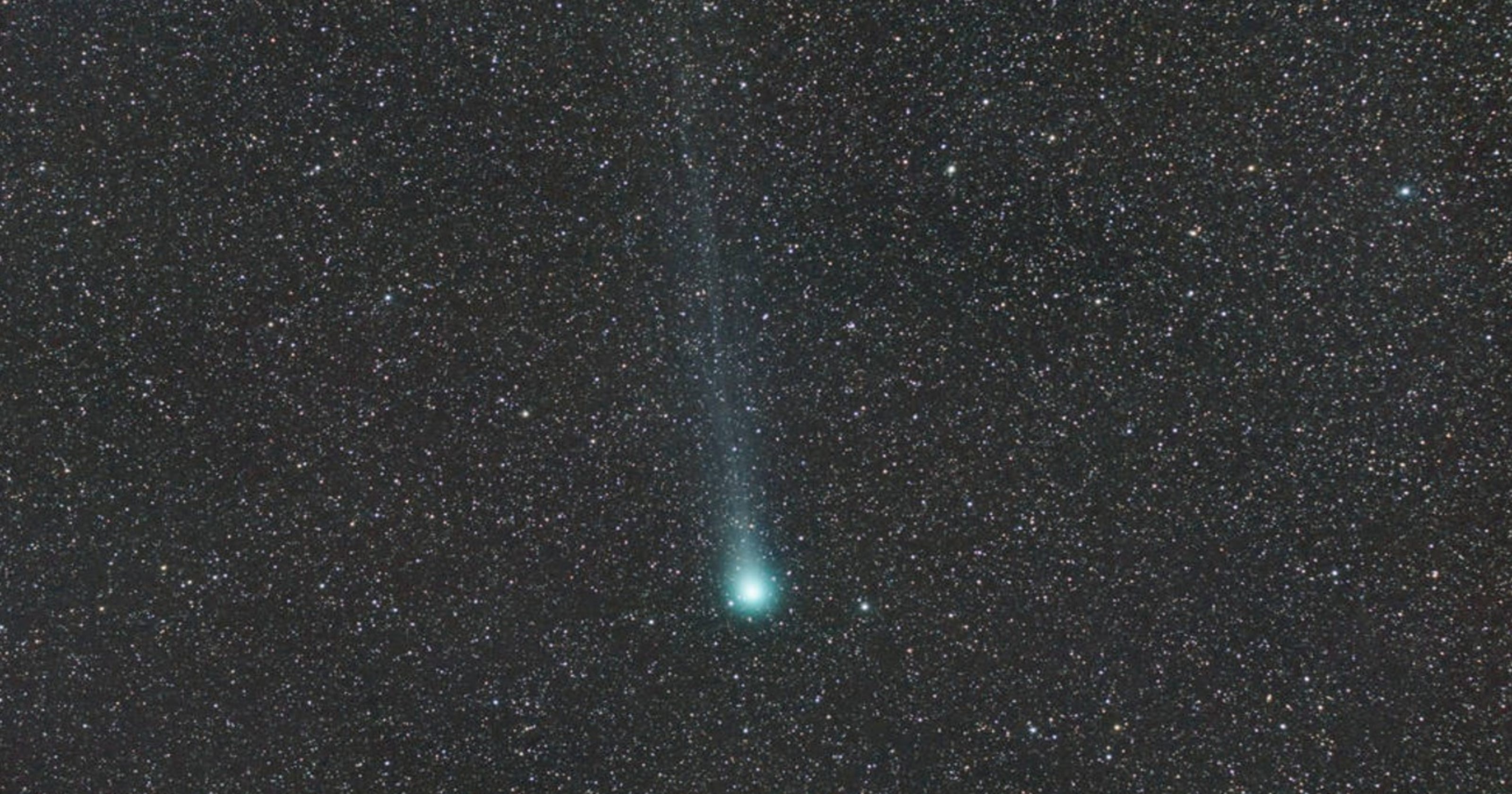 Image result for comet 46p