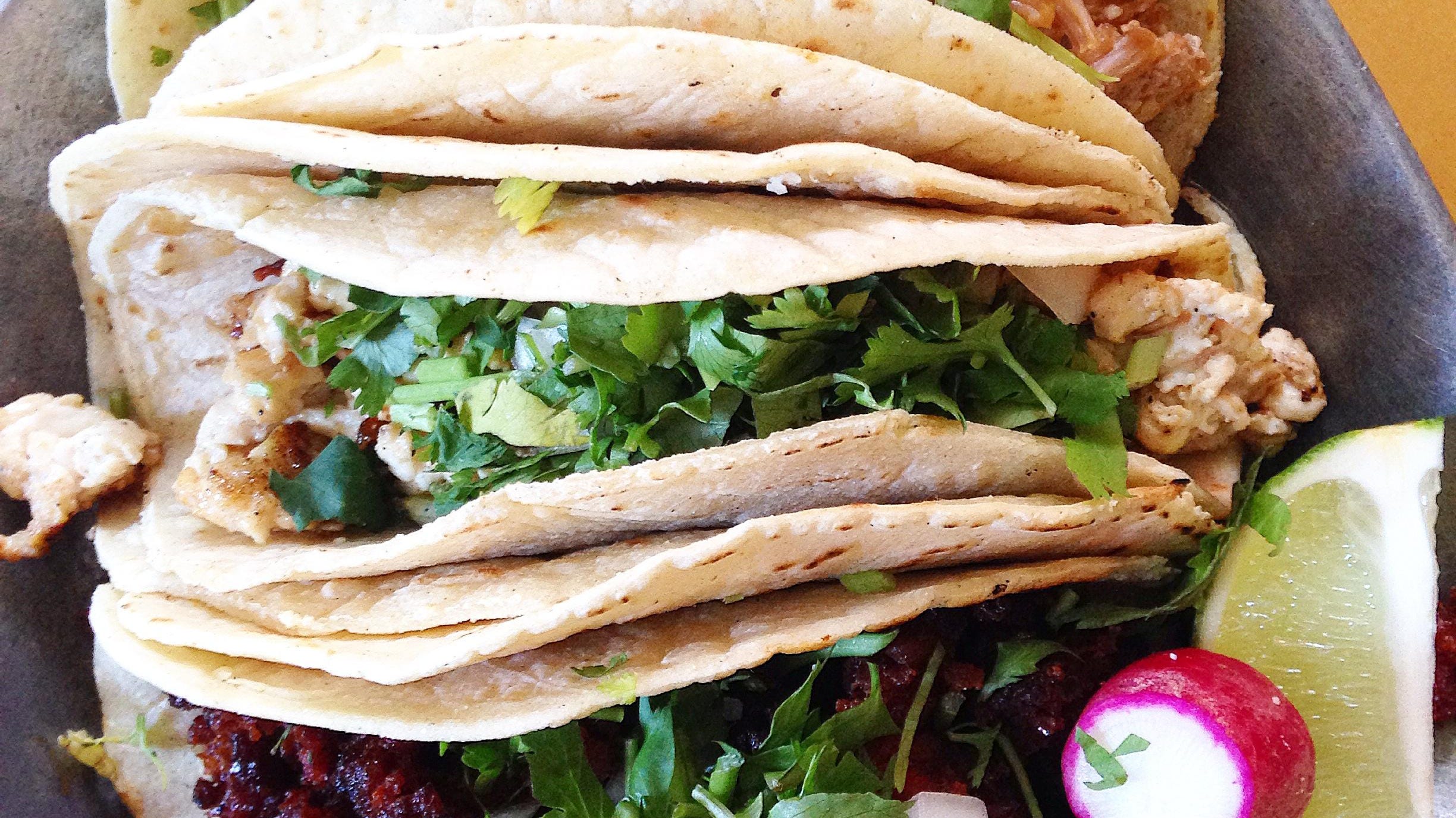 Best Taco Spots In Lohud