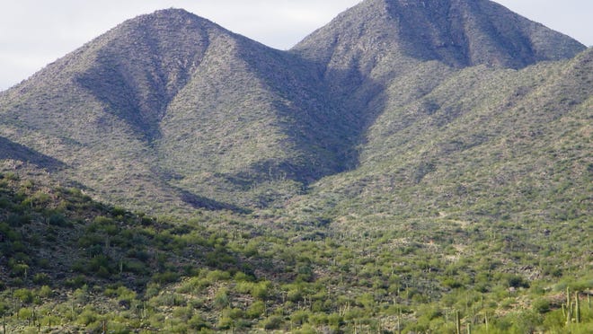 What Can We Expect from the Arizona Real Estate Market in 2022? - Casago