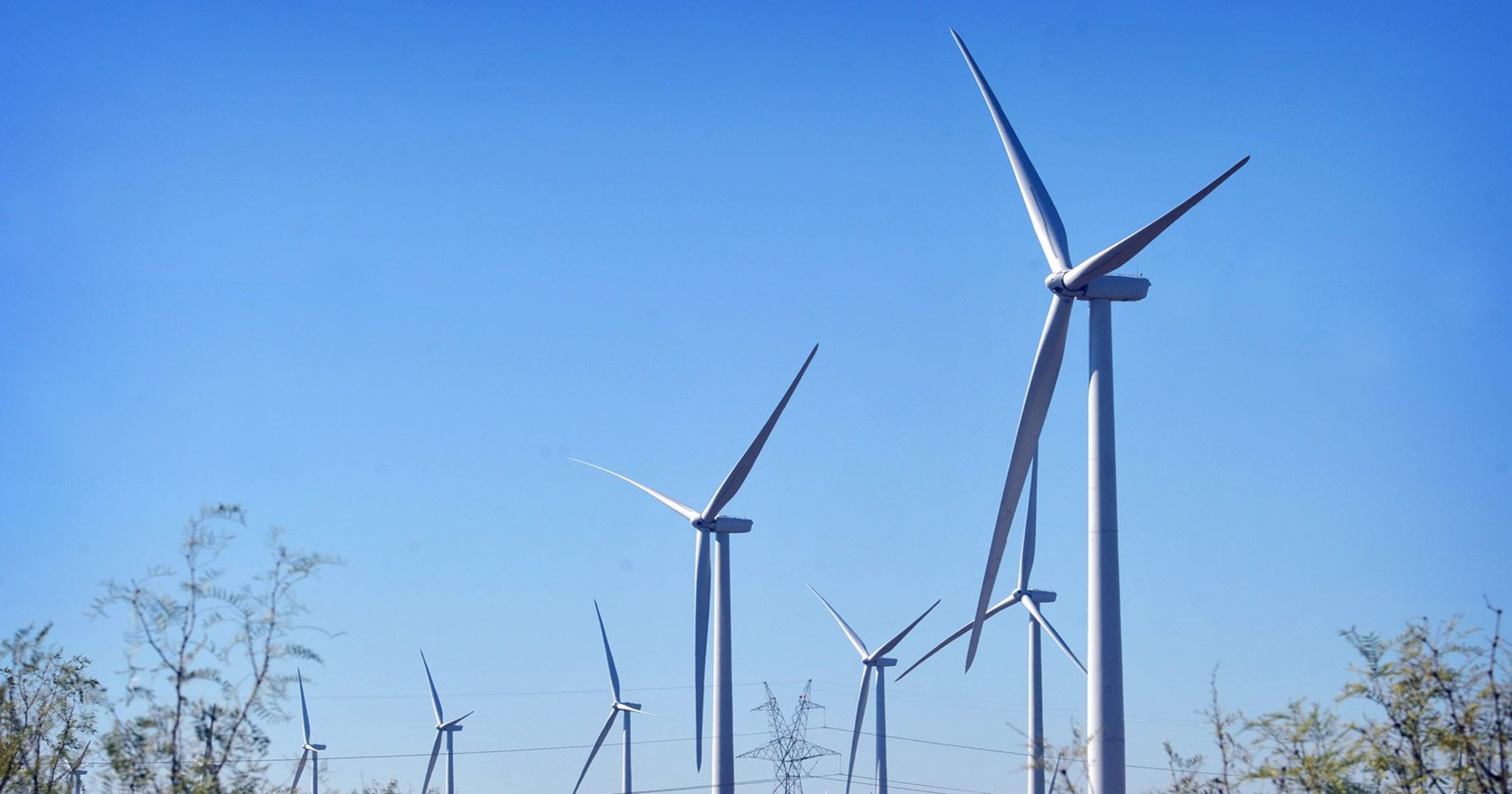 South Texas wind farm study released in full