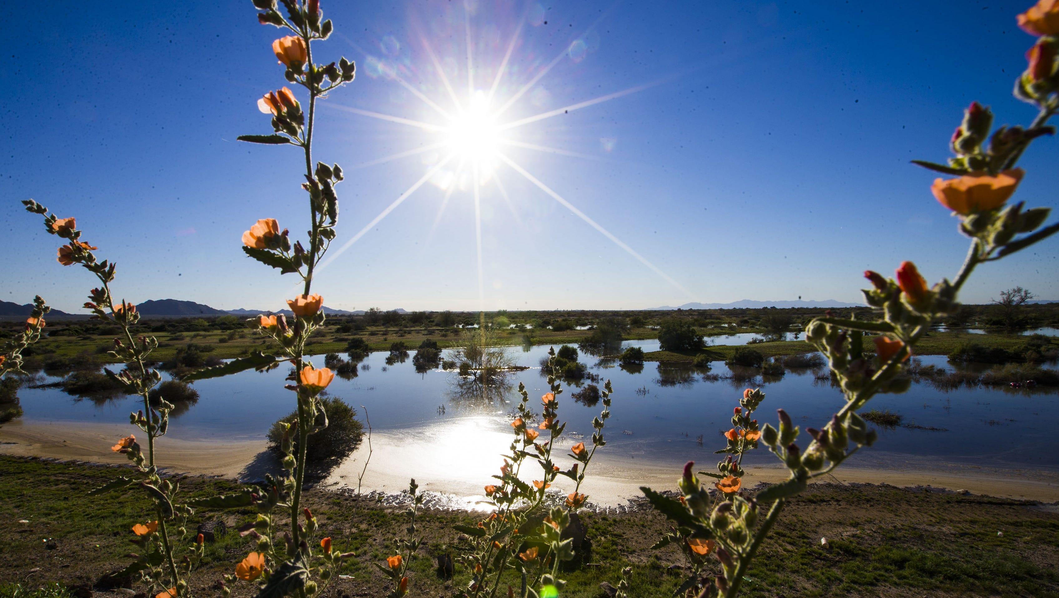Phoenix's Hidden Gem: Exploring the Gila River Indian Community