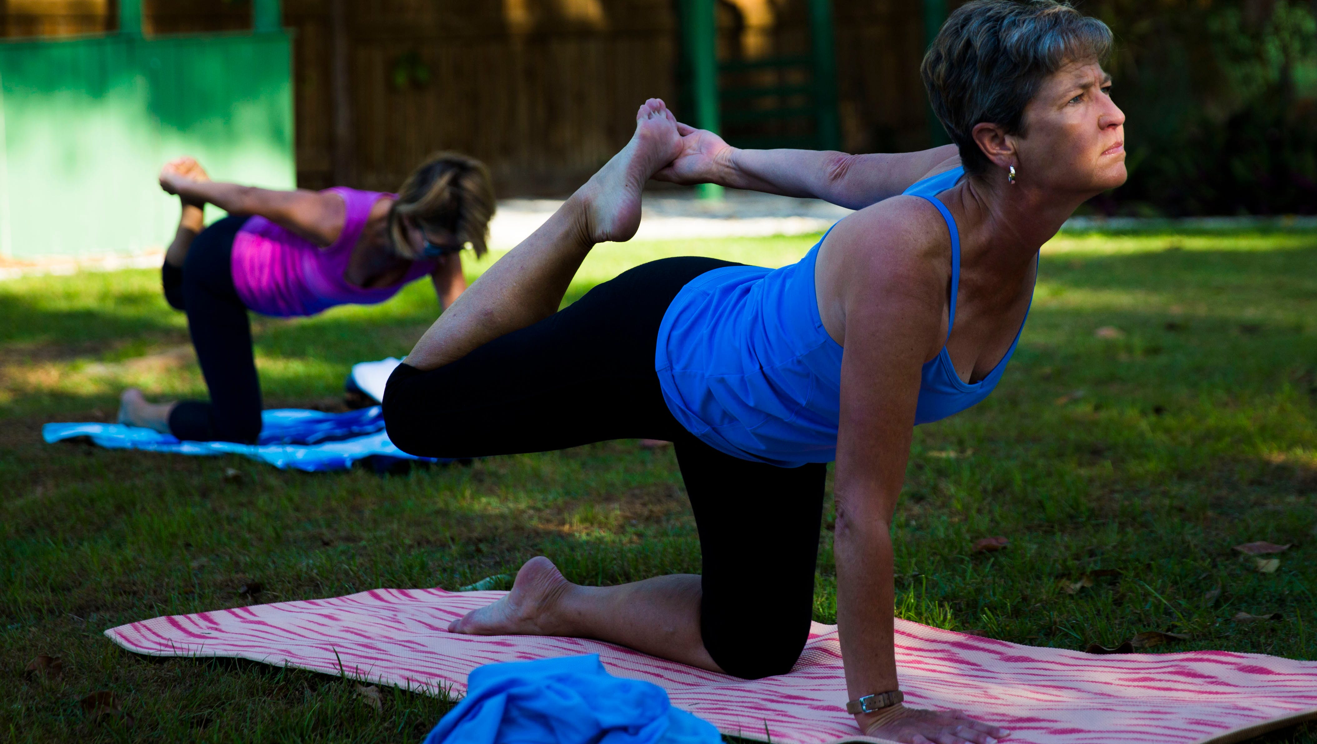 Experience Flamingo Yoga At Everglades Wonder Gardens In Bonita