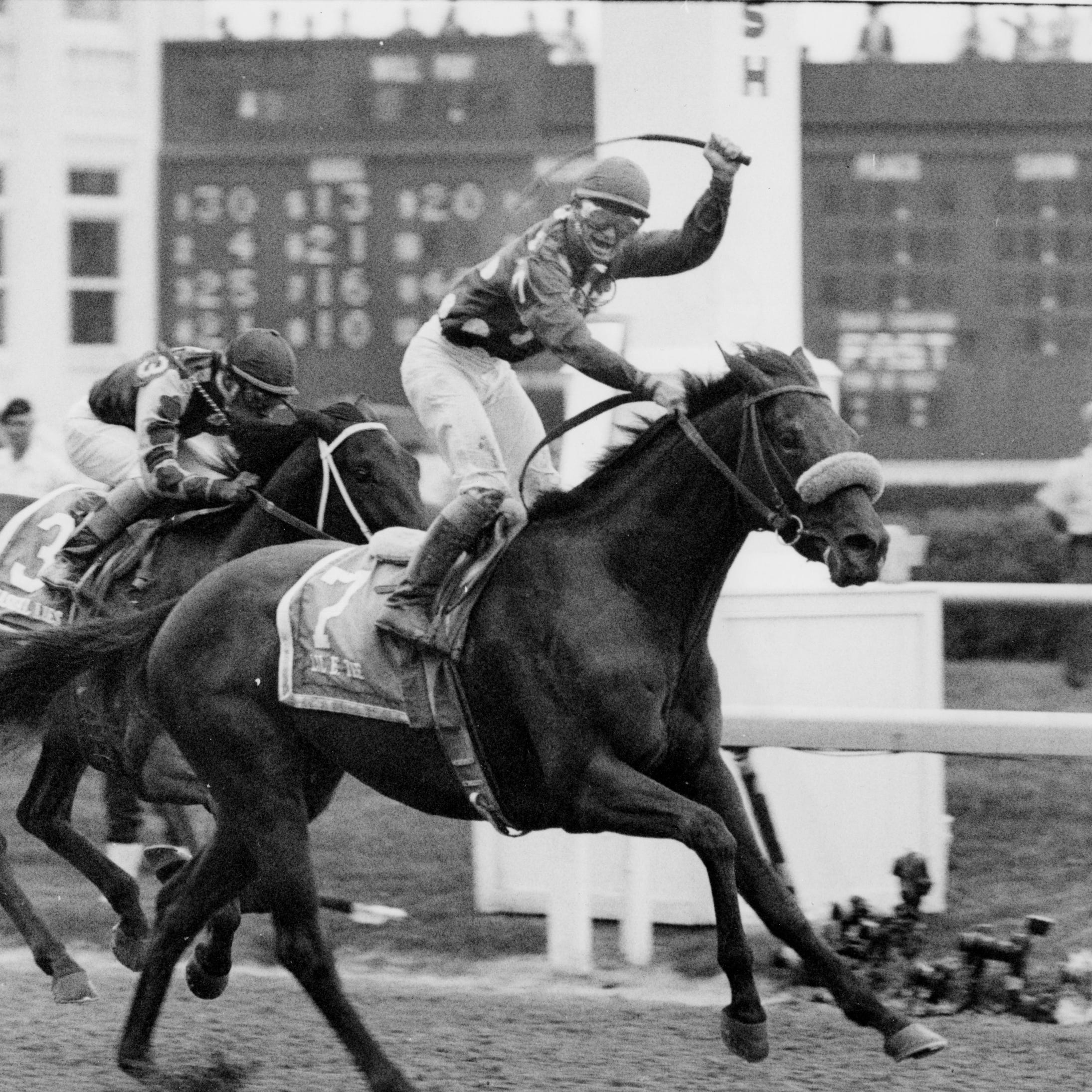 Get Wallpaper Horse Racing Kentucky Proposing Regulations On Jockeys Use Of Whip Free HD