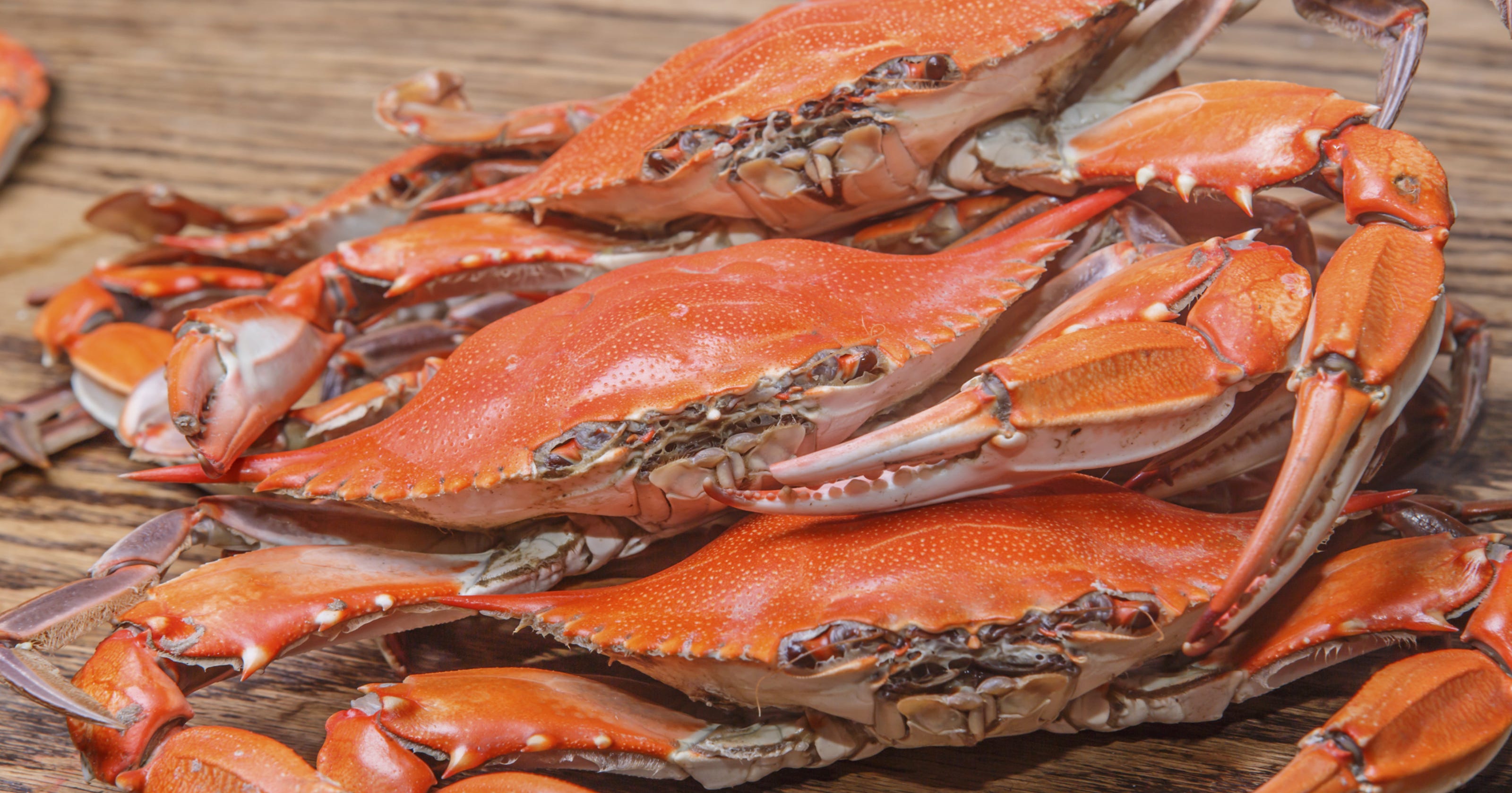 Meat falsely labeled 'Chesapeake blue crab' sold in Delaware
