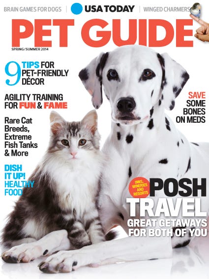 Comfort For Scaredy Cats And Dogs