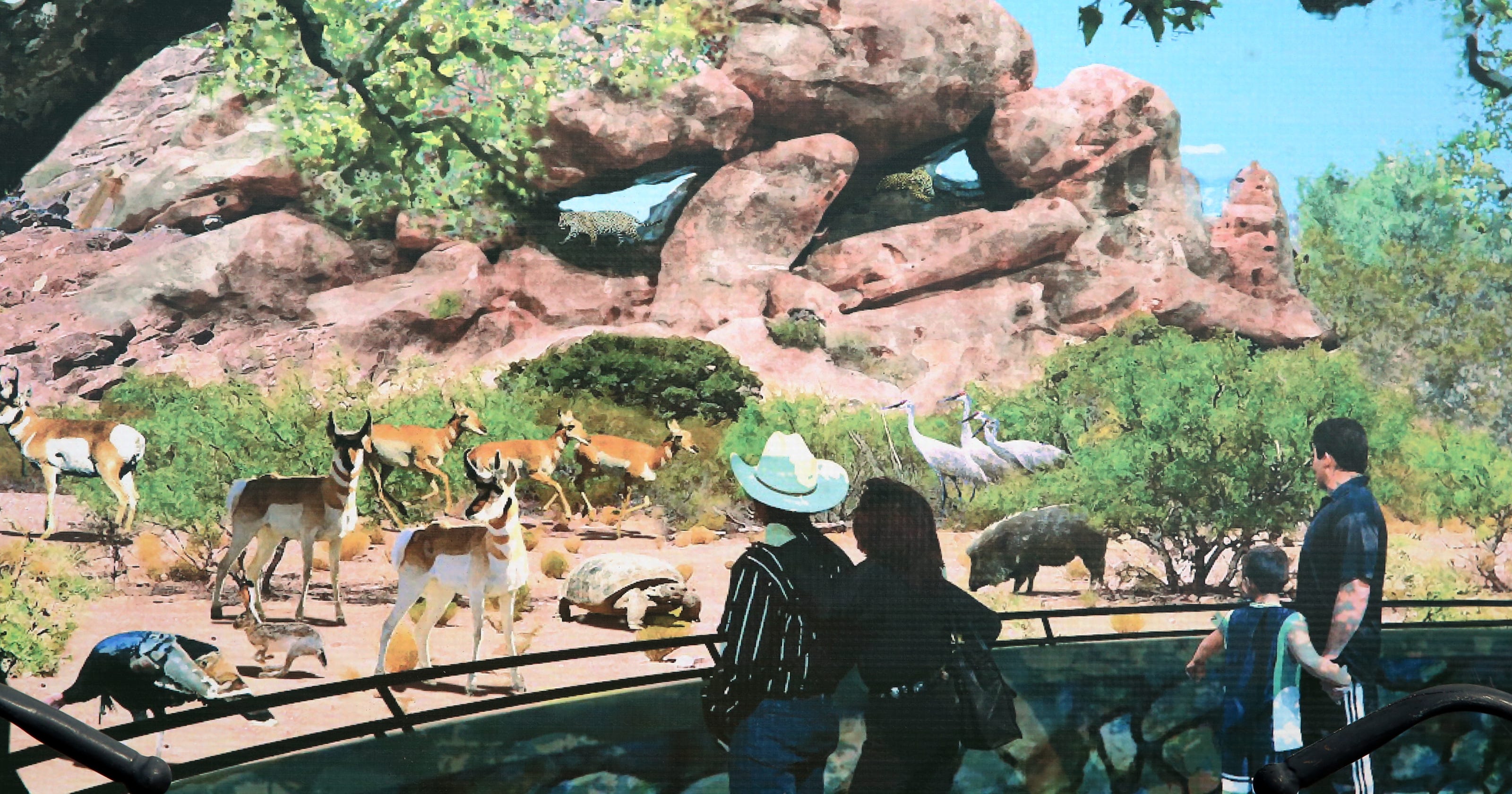 El Paso Zoo's new Chihuahuan Desert exhibit to open Tuesday