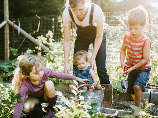 Kids can help parents to plant their own garden in the backyard.