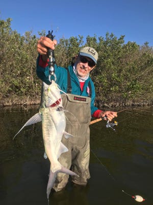 Capt. John Kumiski caught and released this big sailcat while fishing in the No Motor Zone with Capt. Tom Van Horn of Mosquito Coast charters.