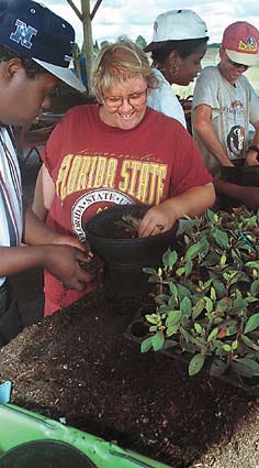 Eric Child, left, Theresa Johnson, Cora Murray and Billy Rice help pot seedlings Monday at the Polk County Training Center for Handicapped Citizens nursery.