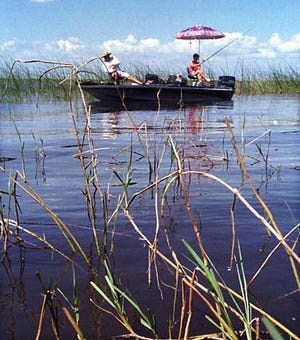A couple enjoy bass fishing in Lake Okeechobee Friday, March 10, 2000. The lake is choking to death. Over the years, phosphorus-laden runoff from citrus and sugar crops, cattle farms and dairy farms has overenriched the water, bringing an onslaught of unwanted plant life that blocks Florida's pounding sunshine from the reaching the bottom.