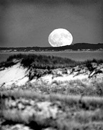 The rising moon lurks over Cape Cod Bay, with the Sandy Neck Beach dunes in the foreground and Dennis shoreline in the distance.