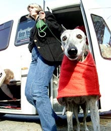 Holly Pearson of Lexington leads Diva, a 9-year-old rescued greyhound, from their tour bus to a rally on the town green in Hyannis yesterday. The former racing dogs and their owners have traveled throughout the state this week as part of Grey2K's campaign in favor of state ballot Question 3.