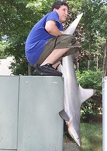 Phillip Santangelo, 14, holds a 5-foot shark, possibly a juvenile bull shark, that he caught early yesterday morning at South Cape Beach in Mashpee.