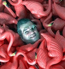 Don Featherstone, creator of the original plastic pink flamingo, is buried under his creations in this 1998 photo. Featherstone says he hasn't been able to get an explanation from Union Products about the removal of his signature from recent copies of the tacky but beloved bird.
