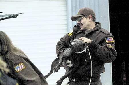 An animal control officer removes one of 37 dogs from the Newton home of Christopher DeVito.