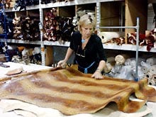 Brenda Donovan inspects a shipment of leather in the cutting room at Brahmin Leather Works in Fairhaven.