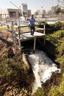 The Gainesville Regional Utilities Main Street Wastewater Treatment Plant daily discharges about 6 million gallons of treated effluent into Sweetwater Branch, which flows onto Paynes Prairie and into Alachua Sink.