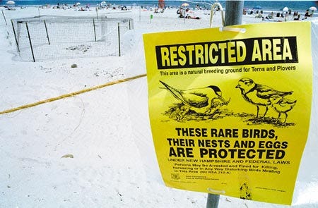 A sigh warns of a restricted area for plover and tern breeding at Hampton State Park.