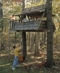 A simple platform in a tree, held in place with wooden braces, is a satisfying hideout for many children.