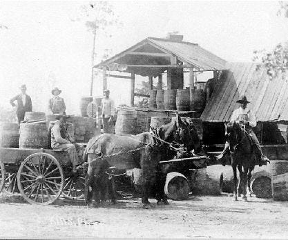 North Central Florida was at the heart of the logging and turpentine industries at the end of the 19th and beginning of the 20th centuries. Several small towns in Alachua County were born and then died with the turpentine industry.