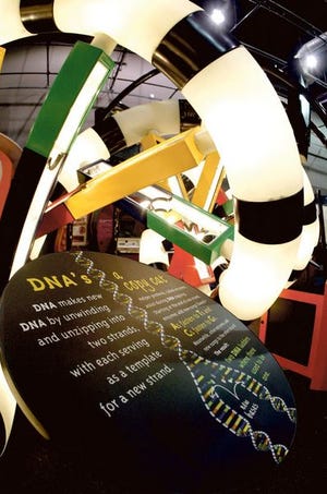The Double Helix attraction is part of the new "Genome: The Secret of How Life Works'' exhibit at MOSI in Tampa.