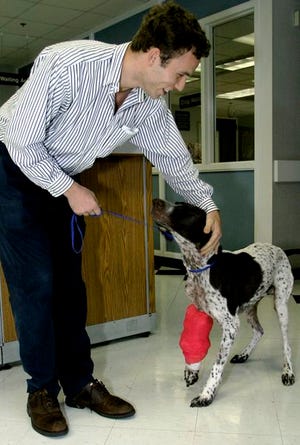 Just after being released from the University of Florida veterinary school's Small Animal Hospital, Solomon, enjoys attention from his owner James Lescott Monday.