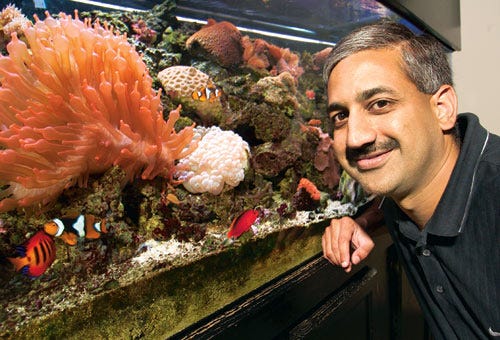 A SLICE OF OCEAN LIFE: Dr. Shamal Nadkarni's saltwater aquarium is a model of stability. The family physician's fish have created an ecosystem that evolves with time as the ocean would.