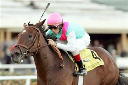 Intercontinental, ridden by Jerry Bailey, cruise to win the Grade I $500,000 Matriarch Stakes Intercontinental and jockey Jerry Bailey fly to the finish line to win the Grade I $500,000 Matriarch Stakes on Sunday. (AP photo)