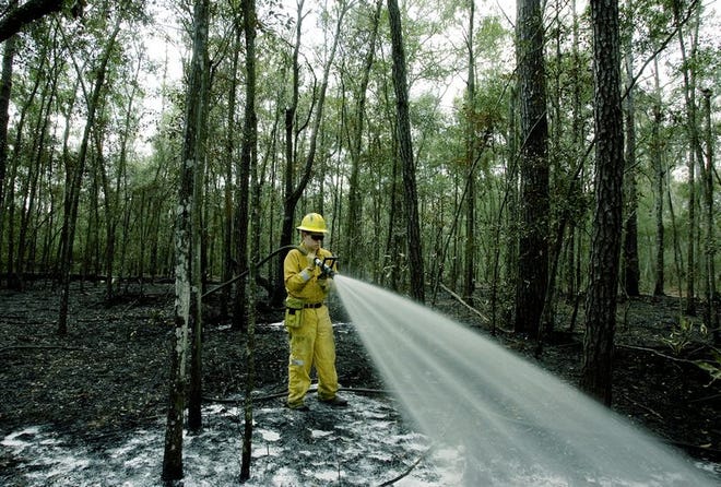 Paul Gruenwald, a forest ranger/firefighter with the Division of Forestry in Gainesville, sprays foam Tuesday on a brush fire that began Monday in a wooded area just south of Eastside High School. The foam smothers what's left of the fire by taking away its oxygen and preventing it from spreading.