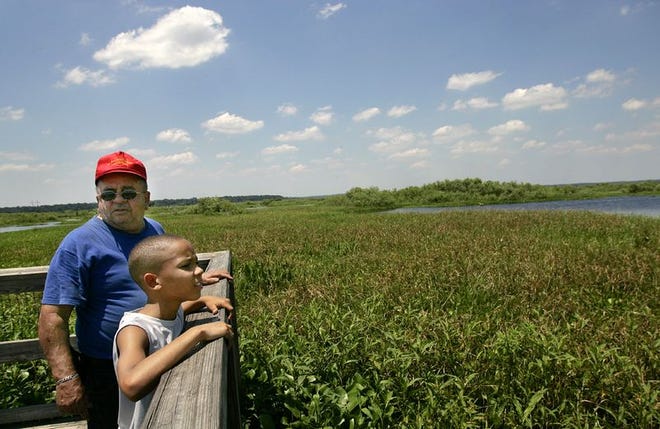 Tyrell Evans, 9, of North Carolina, scans Paynes Prairie on Friday for alligators with his grandfather, Francis Dionne, of Gainesville.