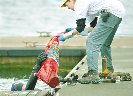 A diver hands off garbage to Linda Hurd after retrieving it from the river bottom beneath the docks at Prescott Park in Portsmouth during the annual International Coastal Cleanup on Saturday.