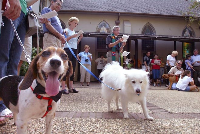 Dogs Rudy, left, and Eva were among a group of pets brought to a service by the Rev. David Meginniss in the courtyard of Christ Episcopal Church in Tuscaloosa before a blessing of pets on Sunday.